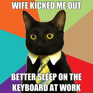 Business Cat