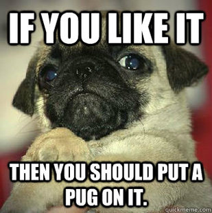 SMUG PUG