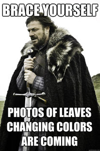 Winter is coming