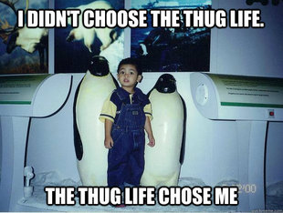 Thug Life
