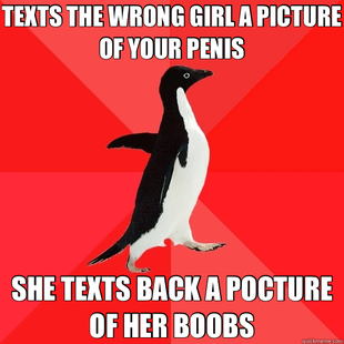 Socially Awesome Penguin