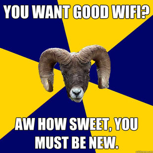 Suffolk Kid Ram