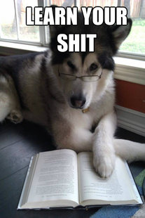 Condescending Literary Pun Dog