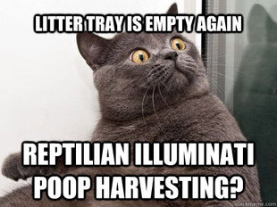 conspiracy cat