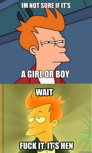 Enlightened Fry