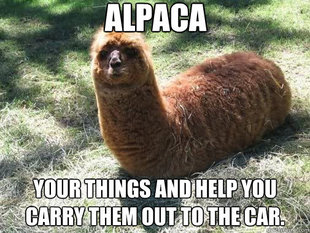 Alpacapillar