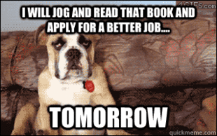 10 Dog