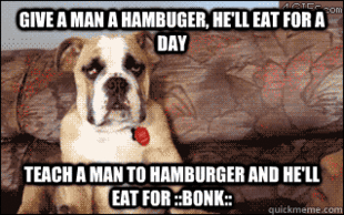 10 Dog
