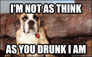 10 Dog