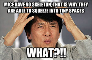 EPIC JACKIE CHAN