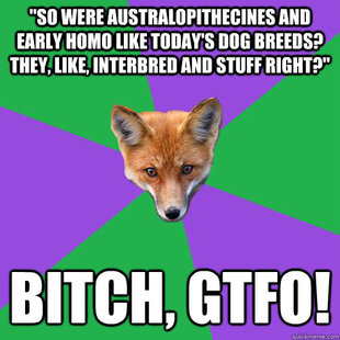 Anthropology Major Fox