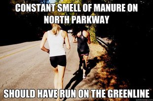 Silly Rhodes Runner
