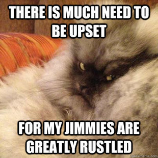 Angriest Cat