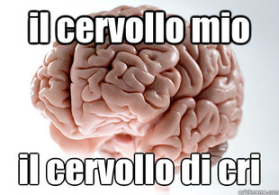Scumbag Brain