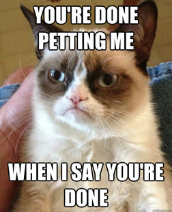 Grumpy Cat