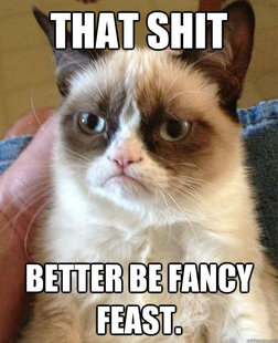 Grumpy cat