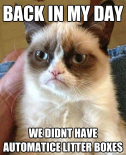 Grumpy Cat