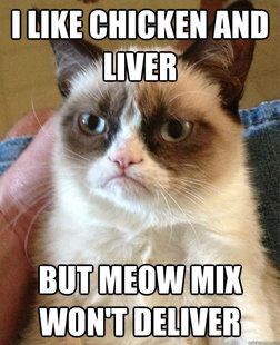 Grumpy cat
