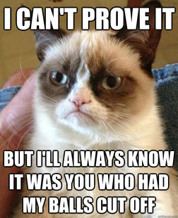 Grumpy Cat