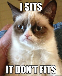 Grumpy cat