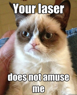 Grumpy cat