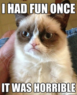 Angry Cat