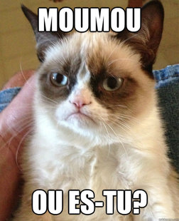 Grumpy Cat