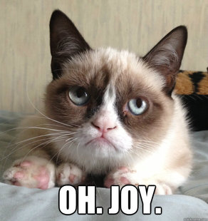 Grumpy Cat