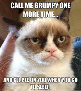Grumpy Cat