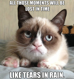Grumpy Cat