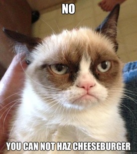 Grumpy Cat