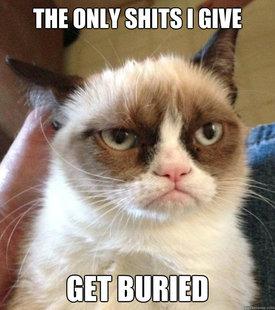 Grumpy Cat