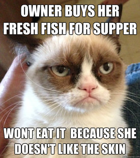Grumpy Cat