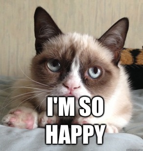 Grumpy Cat