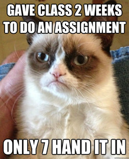 Grumpy cat