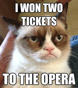 Grumpy Cat