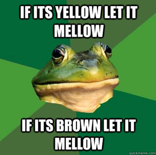 Foul Bachelor Frog