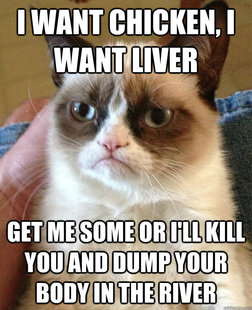 Grumpy cat