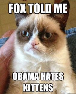 Grumpy cat