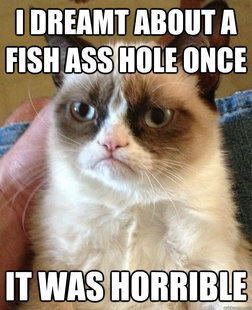 Grumpy Cat