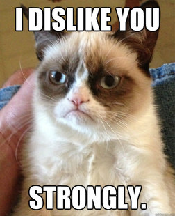 Grumpy cat