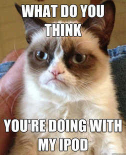 Grumpy Cat