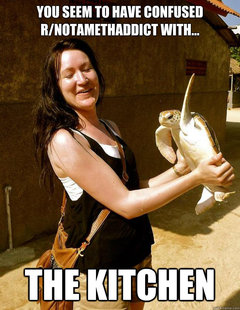 Domestic Violence Turtle