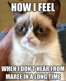 Grumpy Cat