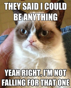 Grumpy Cat