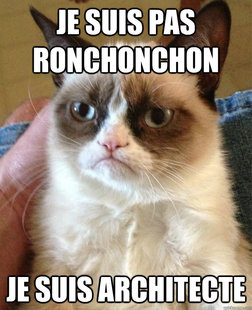 Grumpy Cat