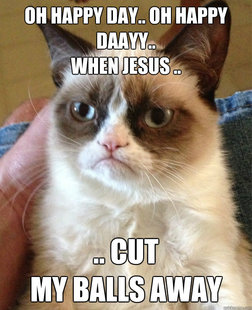 Grumpy Cat
