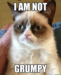 Grumpy Cat