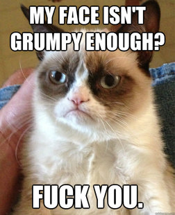 Grumpy Cat