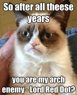 Grumpy cat